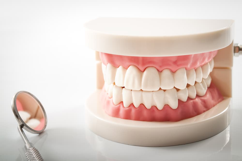 Everything You Need to Know About Dentures - Carlingwood Dental Centre